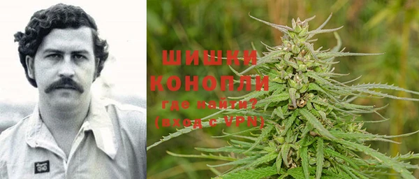 бошки Белокуриха