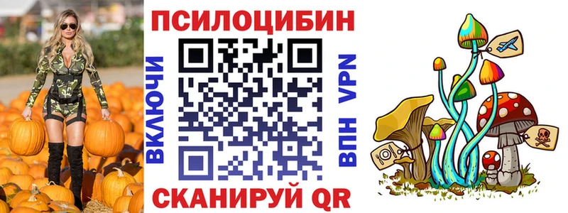 Купить закладки  Выкса  Галлюциногенные грибы Psilocybe 